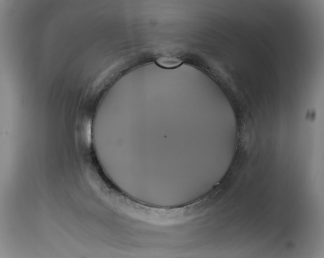 X0000115310027200911161732