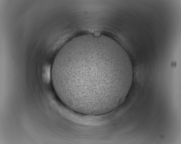 X0000115310028200911161732