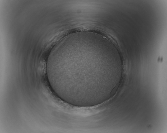 X0000115310029200911161732