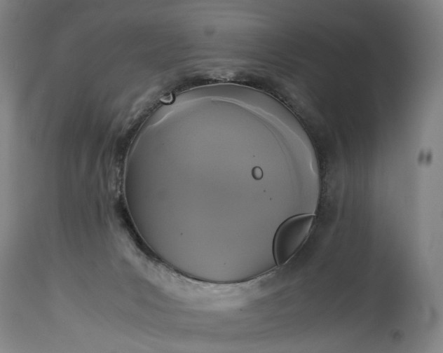 X0000115310031200911161732