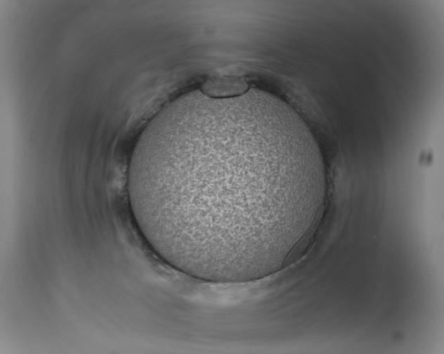 X0000115310033200911161732