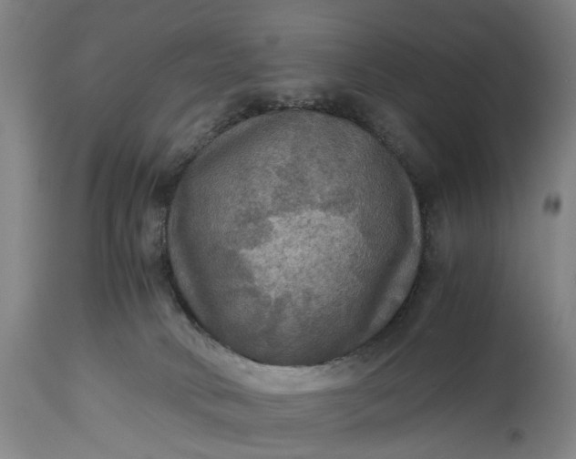 X0000115310034200911161732