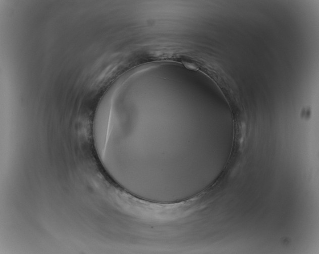 X0000115310035200911161732