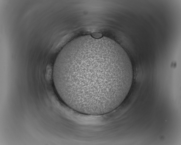 X0000115310036200911161732