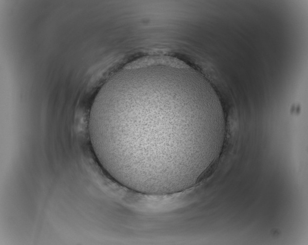 X0000115310037200911161732