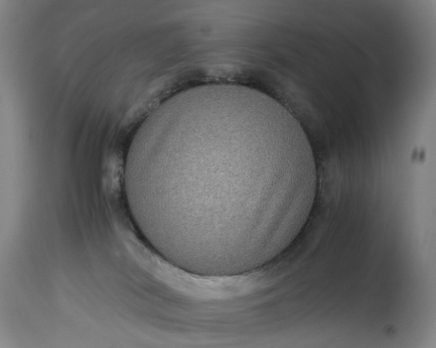 X0000115310038200911161732