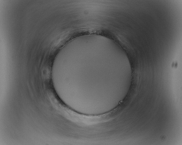 X0000115310039200911161732