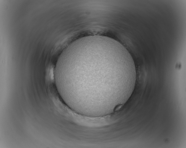 X0000115310042200911161732