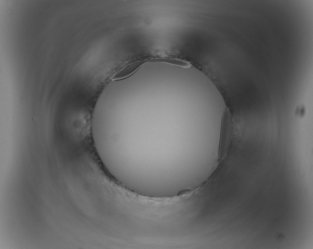 X0000115310043200911161732