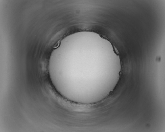 X0000115310044200911161732