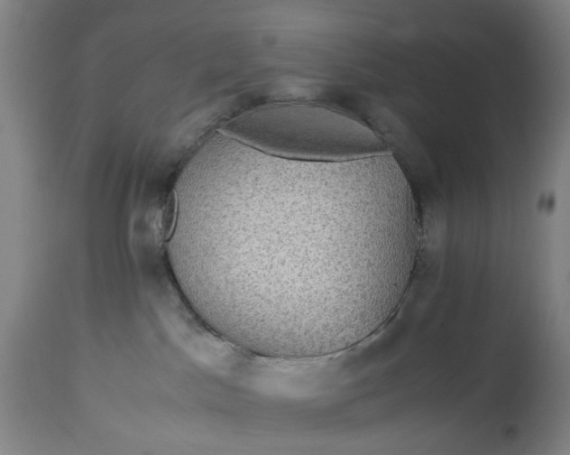 X0000115310045200911161732