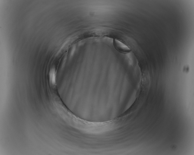 X0000115310046200911161732