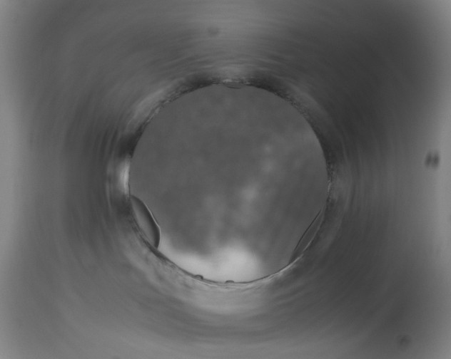 X0000115310047200911161732