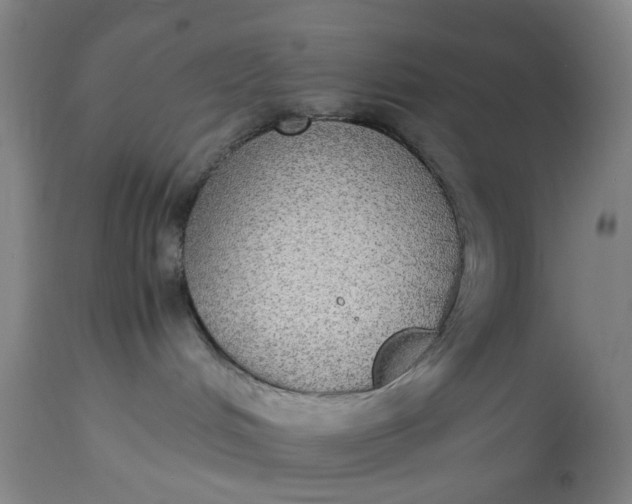 X0000115310048200911161732