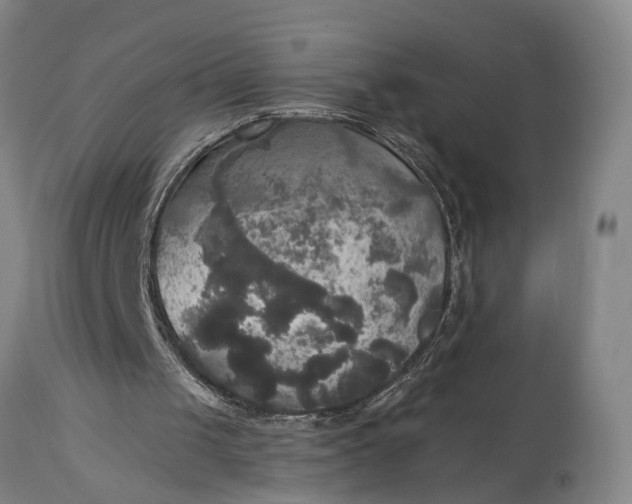 X0000115310049200911161731