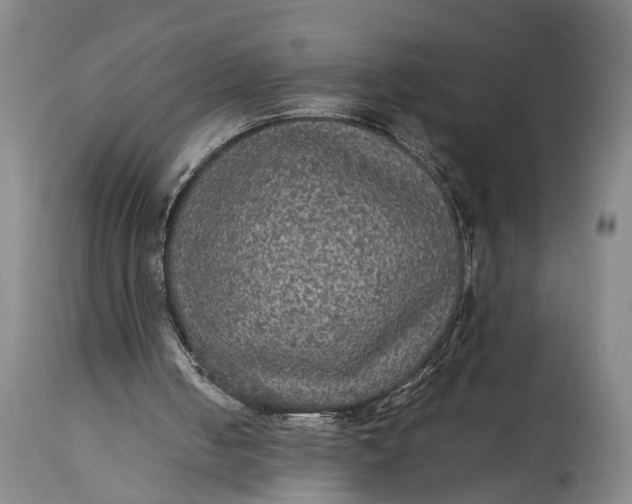 X0000115310050200911161731