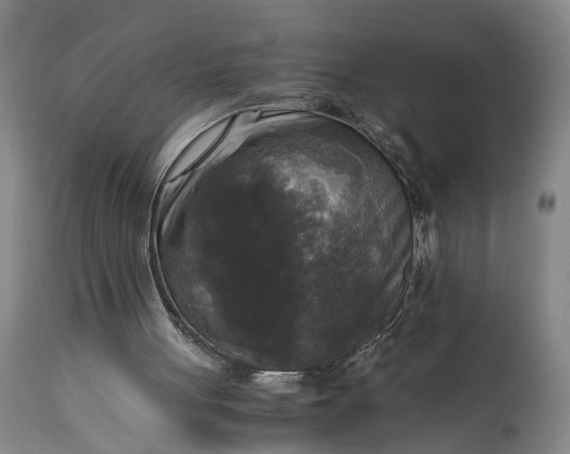 X0000115310051200911161731