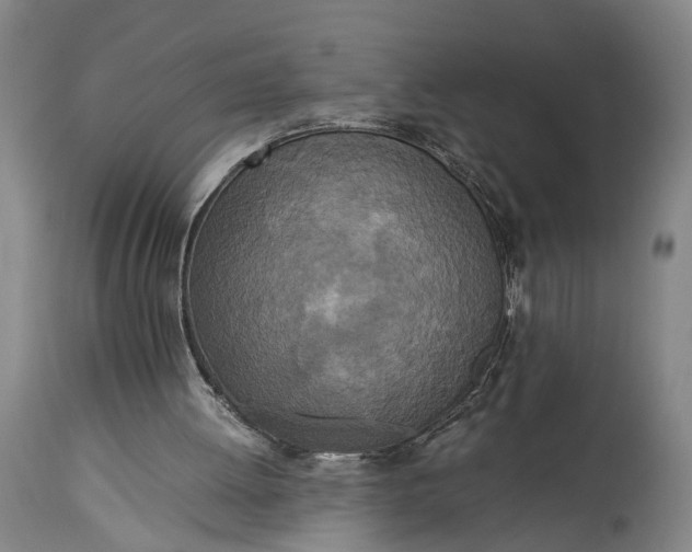 X0000115310052200911161731