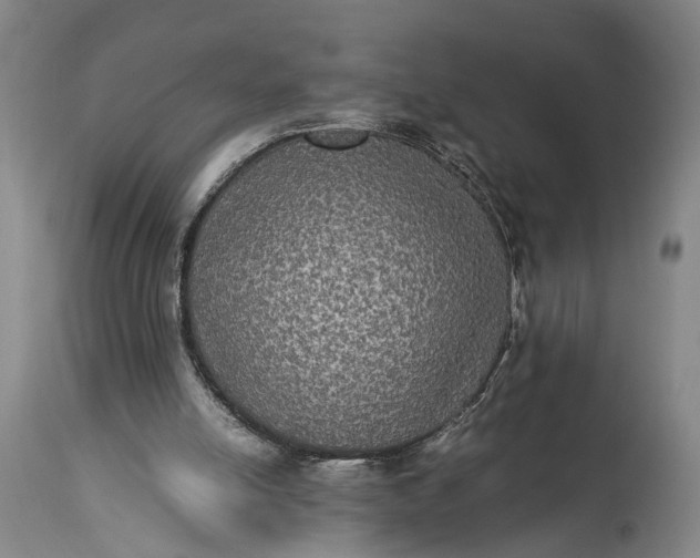 X0000115310054200911161731