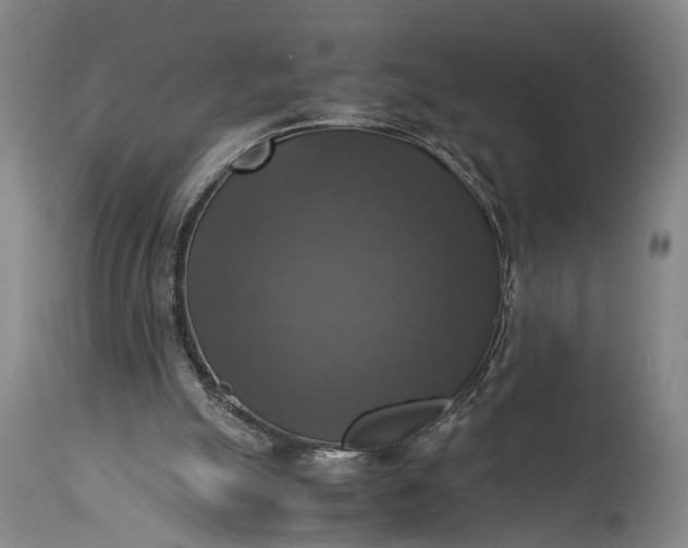 X0000115310055200911161731