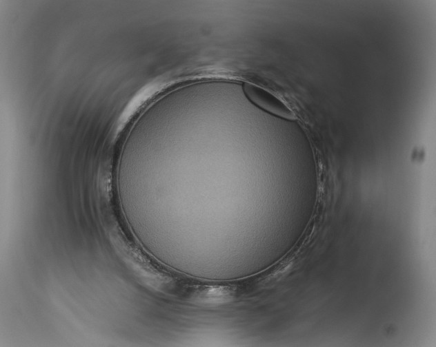 X0000115310056200911161731