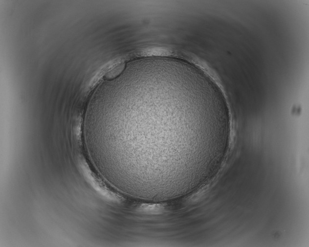 X0000115310057200911161731