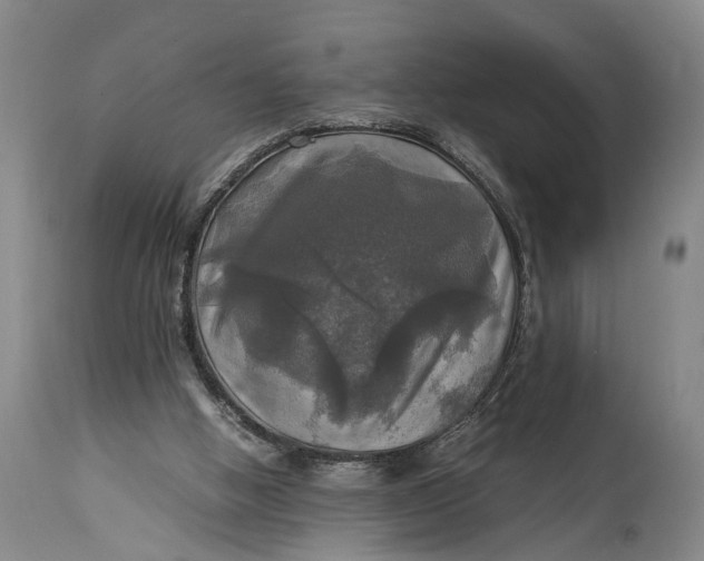 X0000115310058200911161731