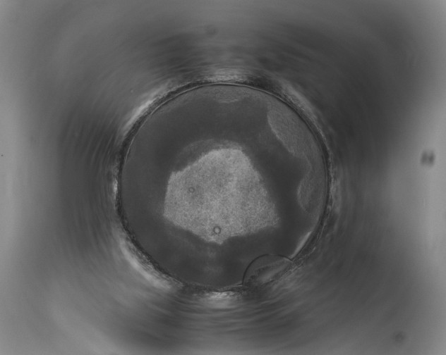 X0000115310059200911161731