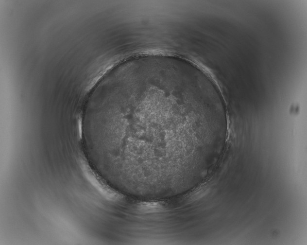 X0000115310061200911161731