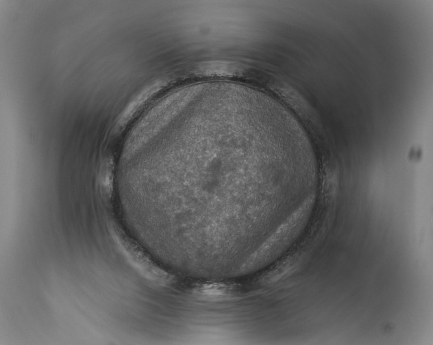 X0000115310064200911161731