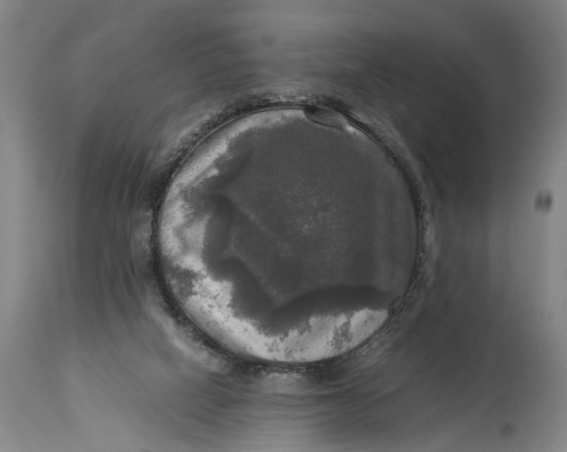 X0000115310066200911161731