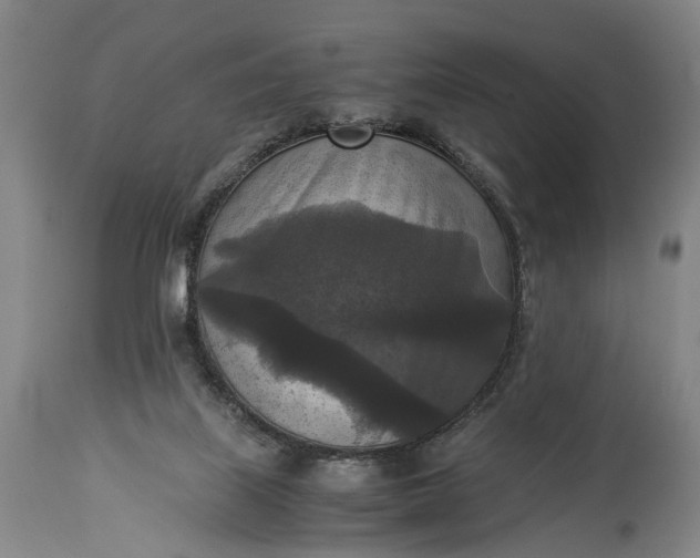 X0000115310067200911161731