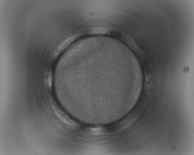 X0000115310068200911161731