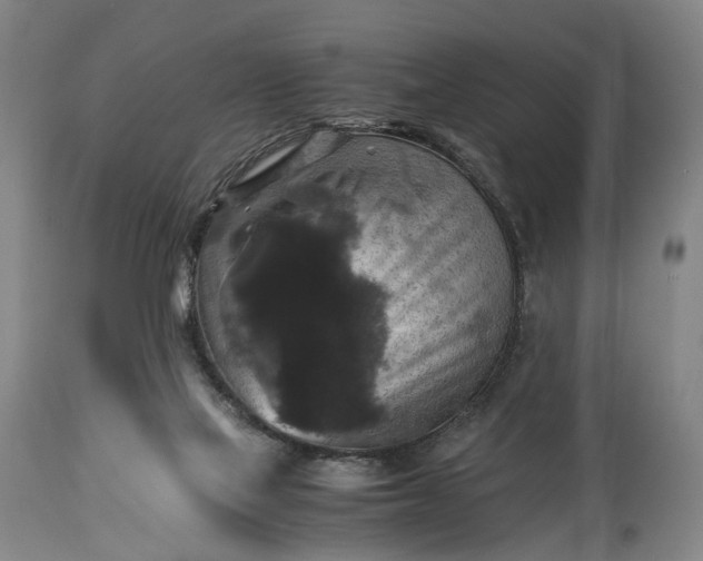 X0000115310069200911161731