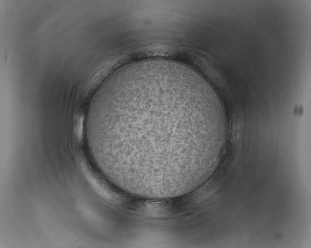 X0000115310070200911161731