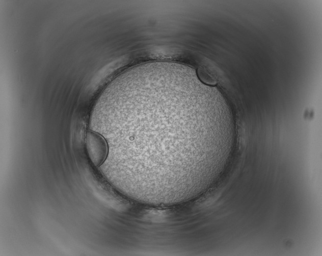 X0000115310071200911161731