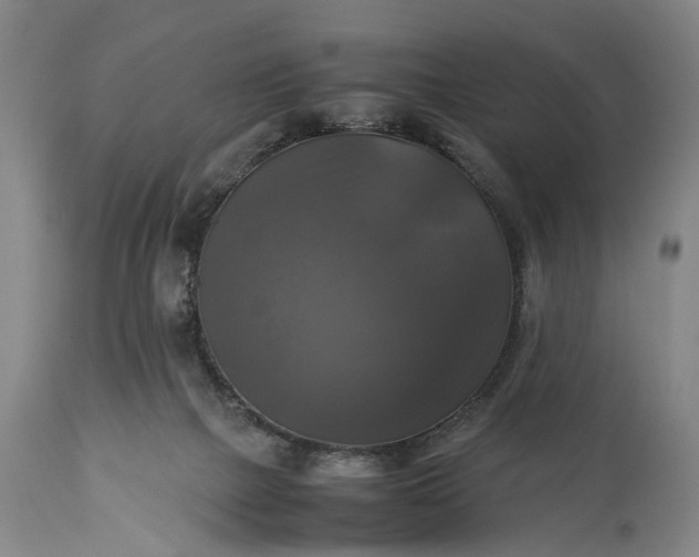 X0000115310073200911161731