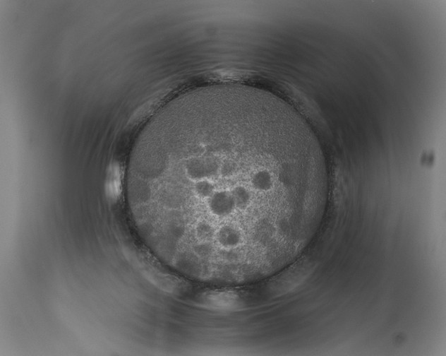 X0000115310075200911161731