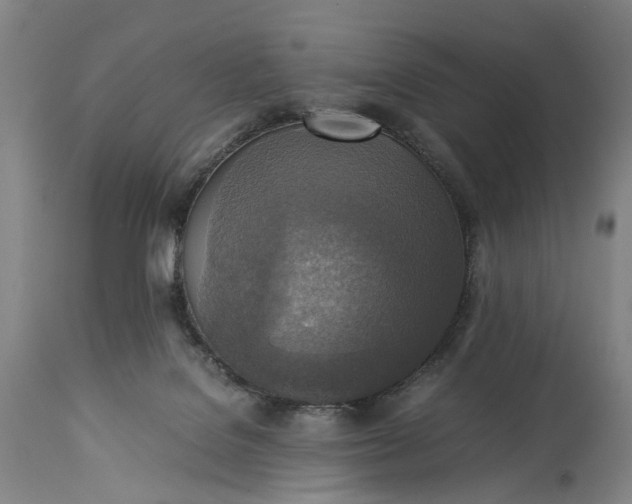 X0000115310076200911161731