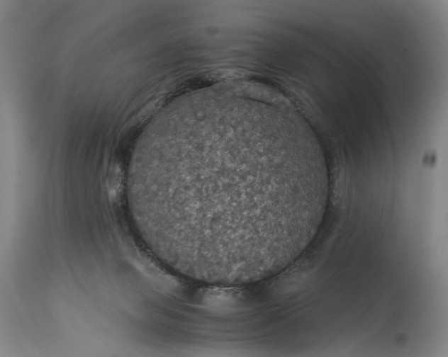 X0000115310077200911161731