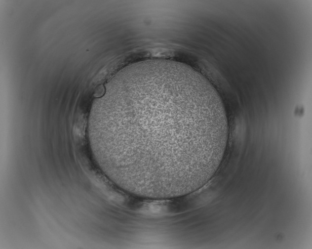 X0000115310078200911161731