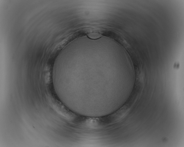 X0000115310080200911161731