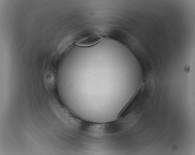 X0000115310084200911161732