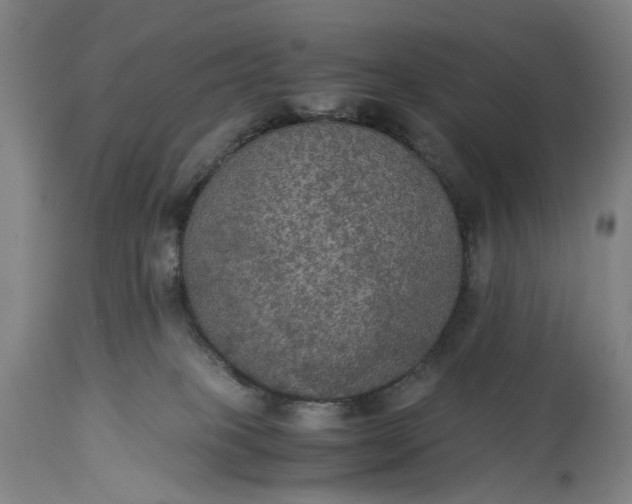 X0000115310085200911161732