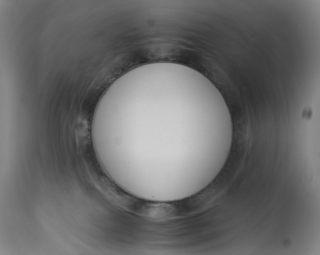 X0000115310087200911161732