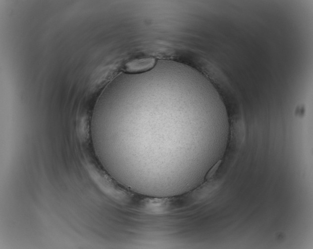 X0000115310088200911161732