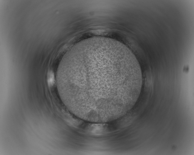 X0000115310089200911161732