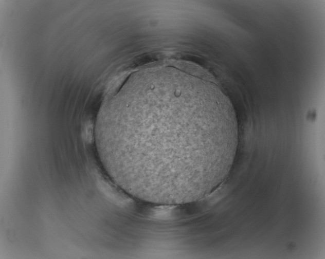 X0000115310090200911161732