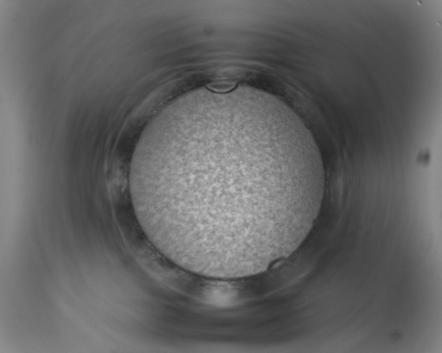 X0000115310091200911161732