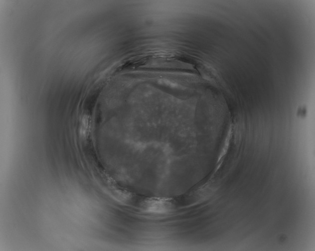 X0000115310093200911161732